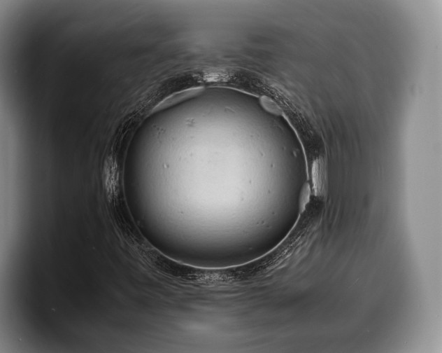 X0000100311443200806051446