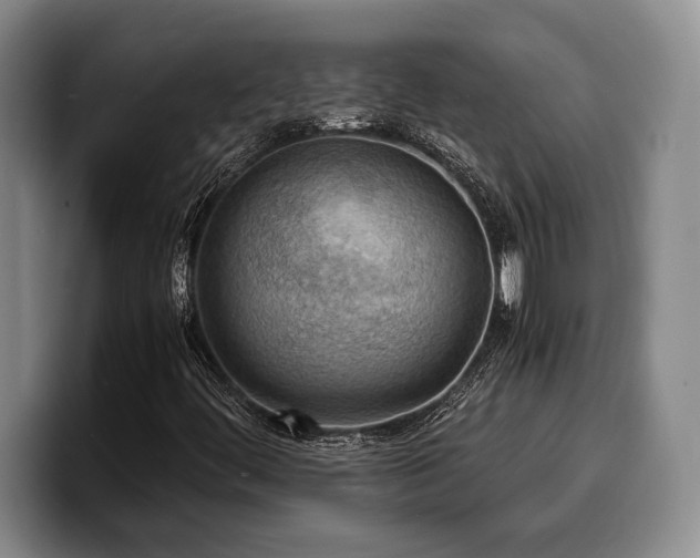 X0000100311444200806051446