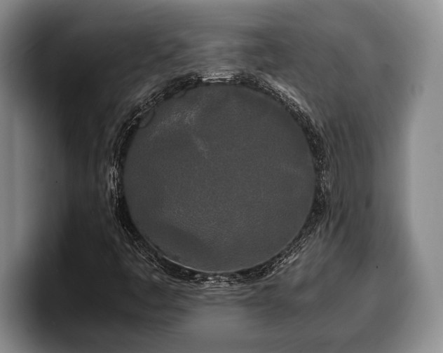 X0000100311445200806051446