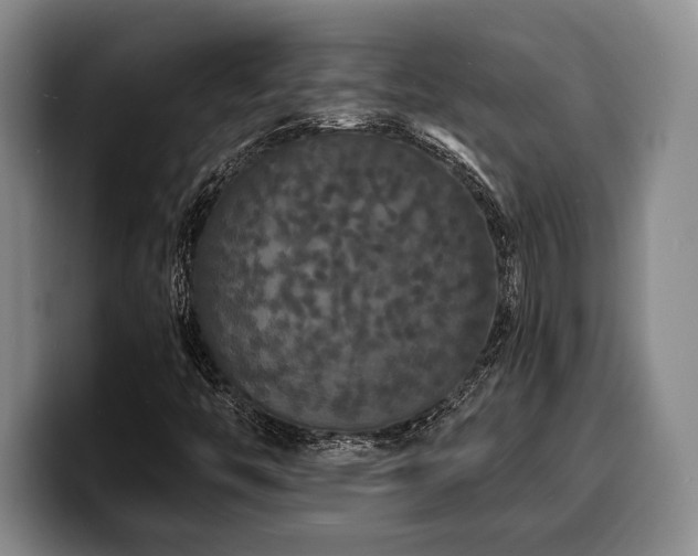 X0000100311446200806051446
