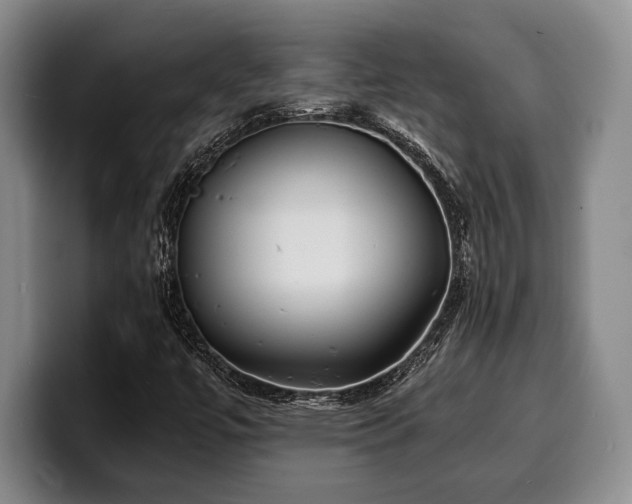 X0000100311447200806051446