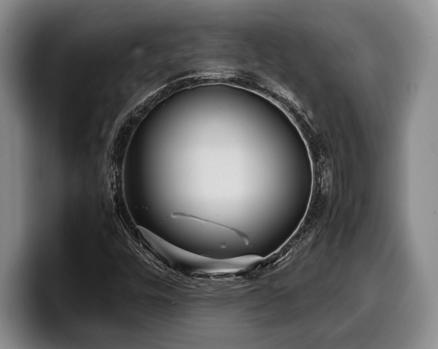 X0000100311448200806051446