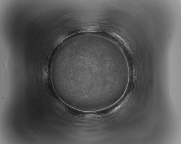 X0000100311449200806051446