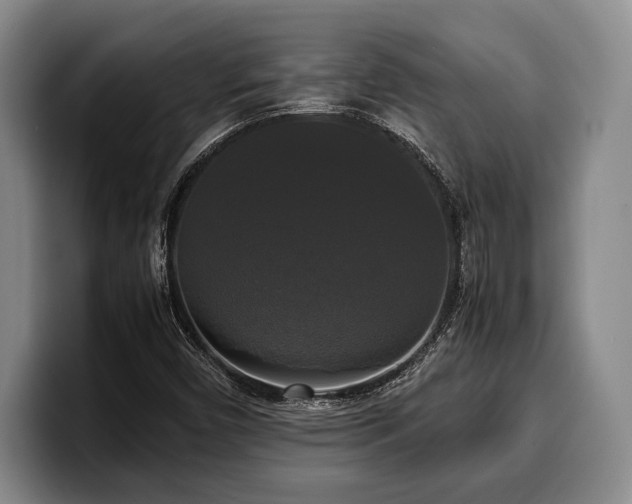 X0000100311450200806051445