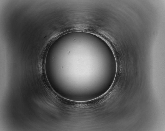 X0000100311451200806051445