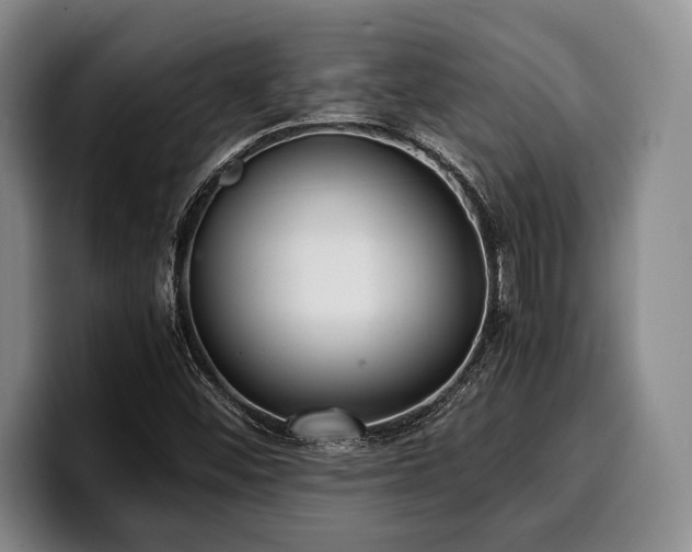 X0000100311452200806051445