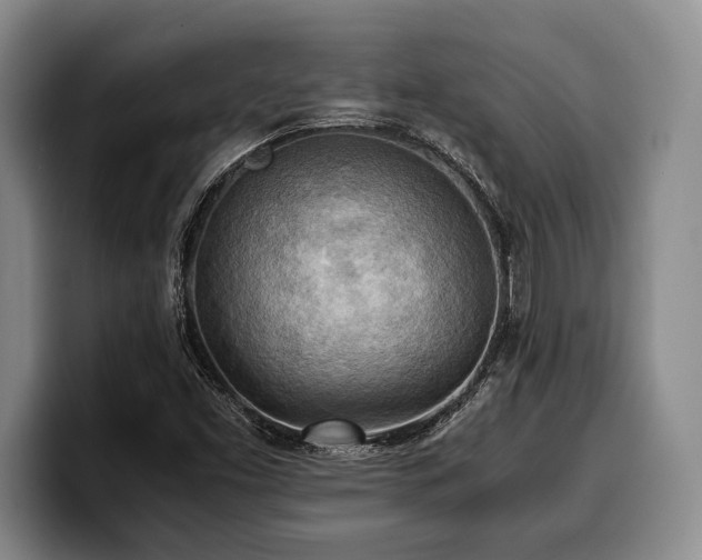X0000100311453200806051445