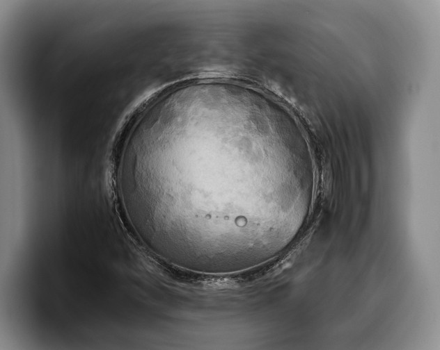 X0000100311454200806051445