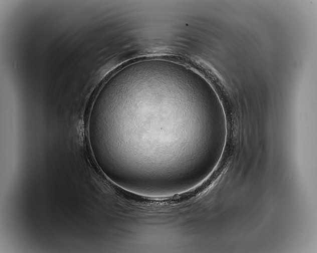 X0000100311457200806051445