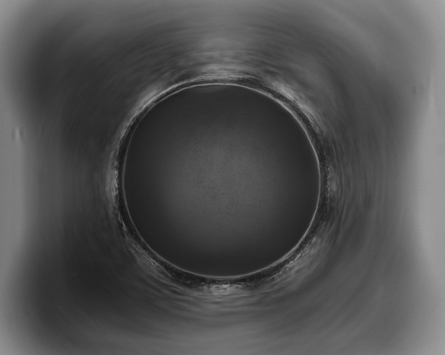 X0000100311459200806051445