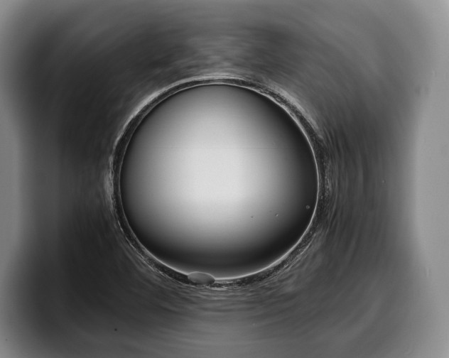 X0000100311460200806051445