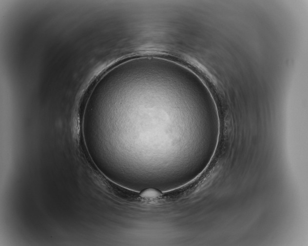 X0000100311461200806051445
