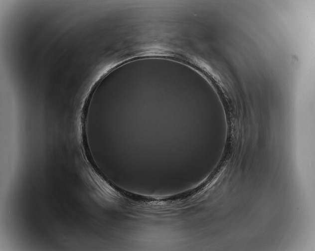 X0000100311463200806051445