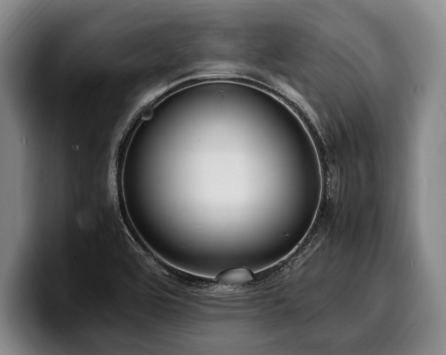 X0000100311464200806051445