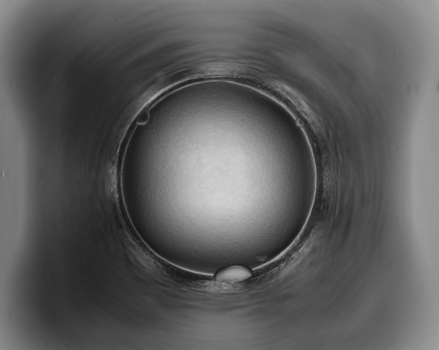 X0000100311465200806051445