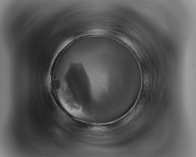 X0000100311466200806051445