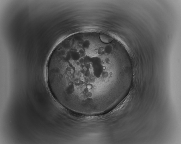 X0000100311467200806051445