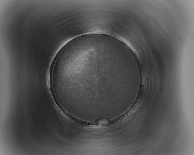 X0000100311468200806051445