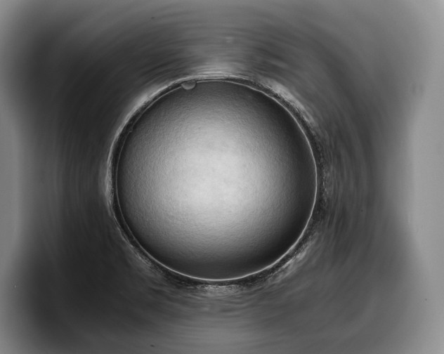 X0000100311469200806051445
