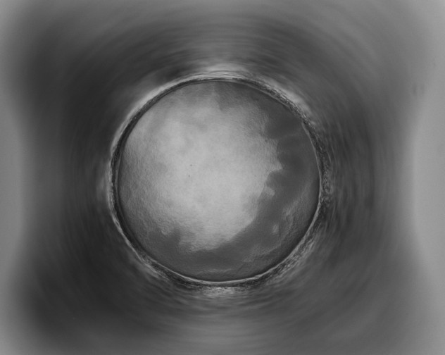 X0000100311470200806051445