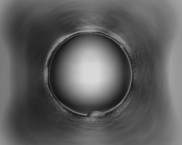 X0000100311472200806051445