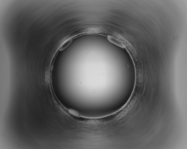 X0000100311473200806051445