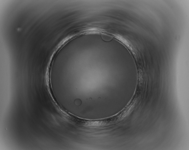 X0000100311474200806051445