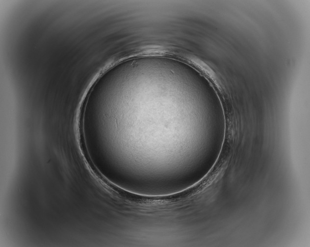 X0000100311475200806051445