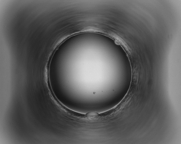 X0000100311476200806051445