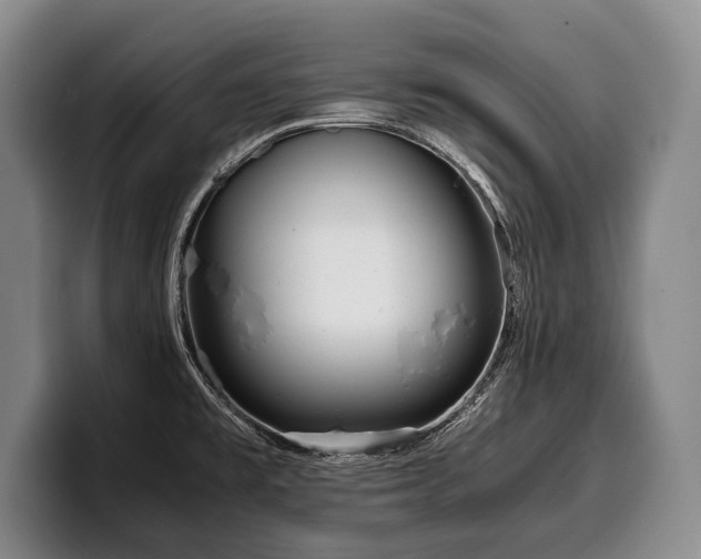X0000100311477200806051445