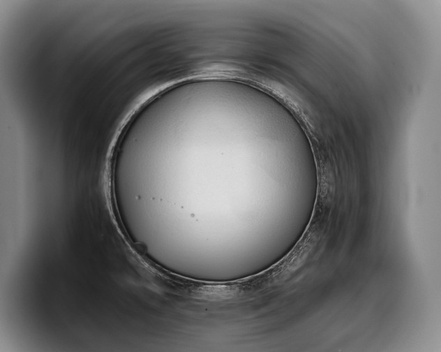 X0000100311478200806051445
