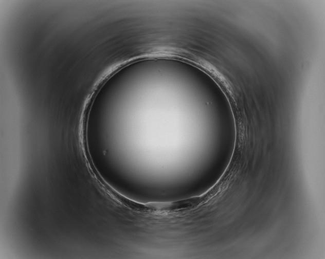 X0000100311480200806051445