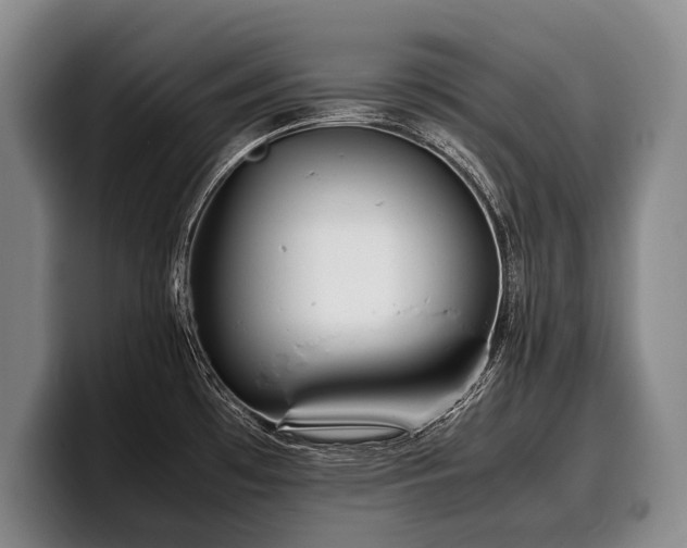 X0000100311481200806051445