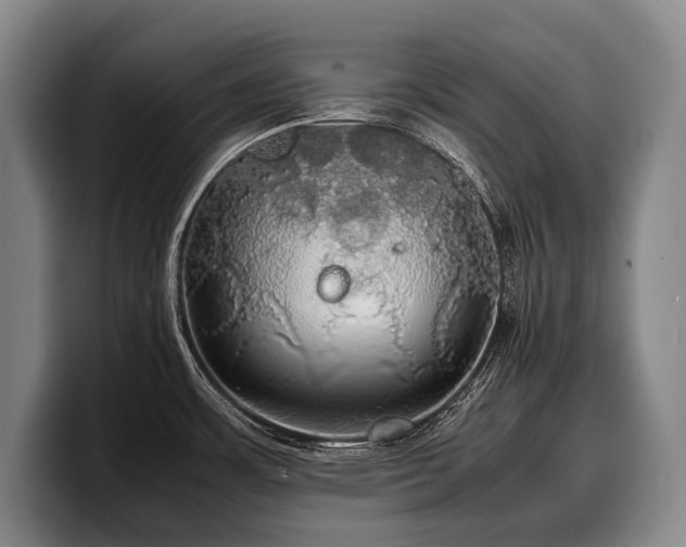 X0000100311483200806051445