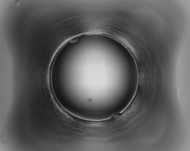 X0000100311484200806051445
