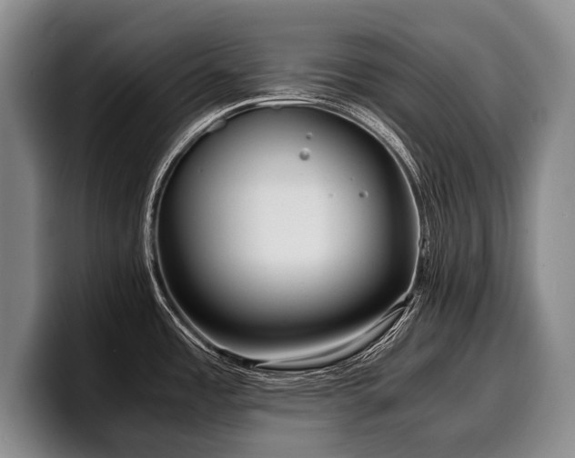 X0000100311485200806051445