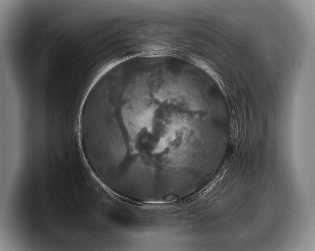 X0000100311487200806051445
