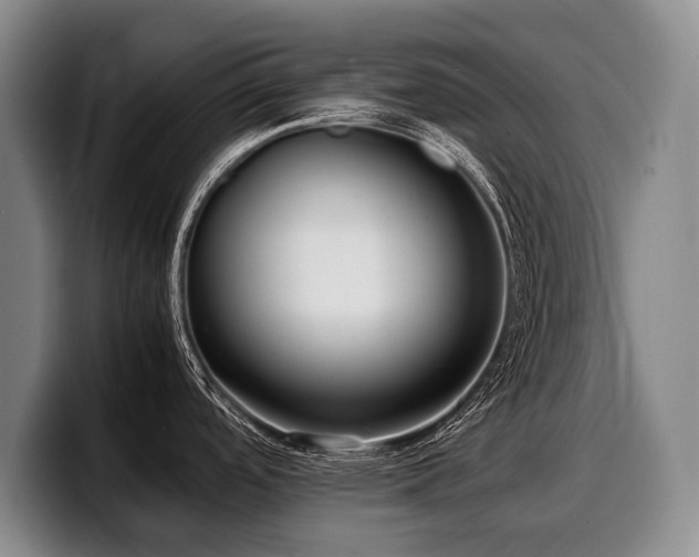 X0000100311488200806051445