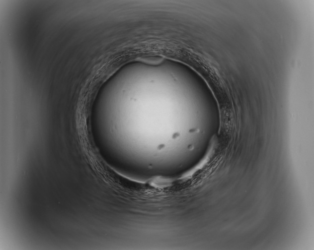 X0000100311489200806051444