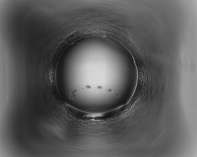 X0000100311490200806051444
