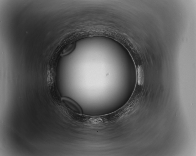 X0000100311491200806051444