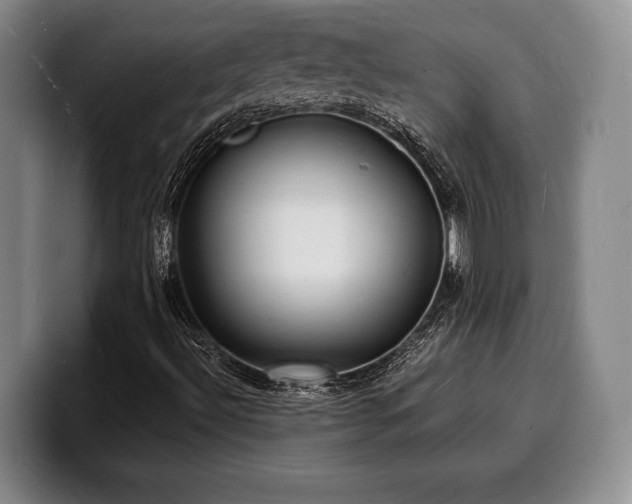 X0000100311492200806051444