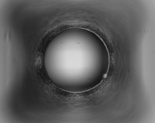 X0000100311493200806051444