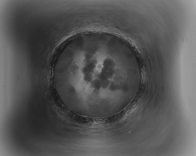 X0000100311494200806051444