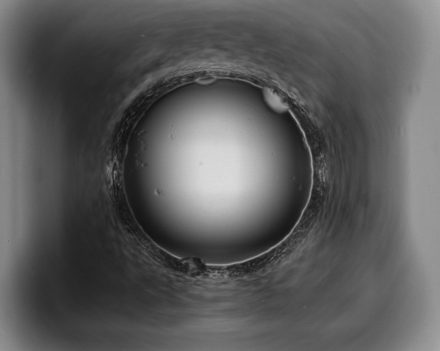 X0000100311495200806051444