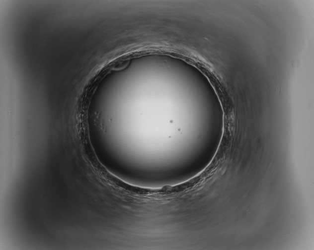 X0000100311496200806051444