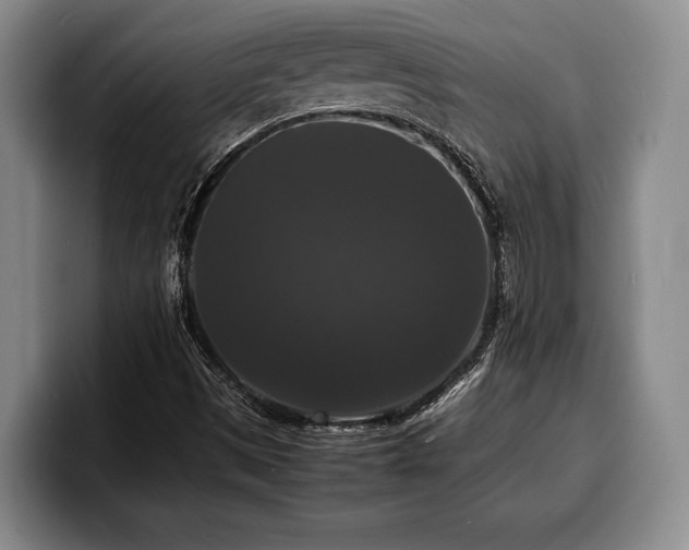 X0000100311497200806051444