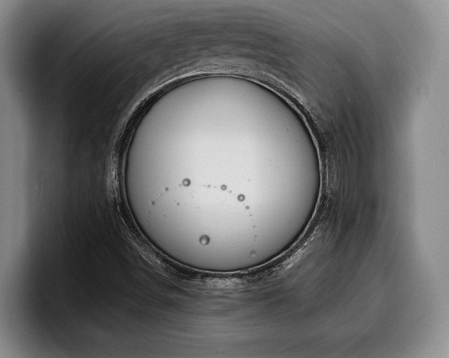 X0000100311498200806051444
