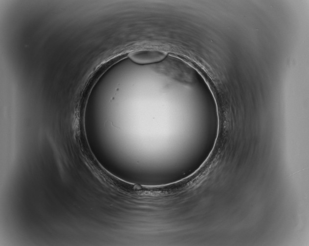 X0000100311499200806051444