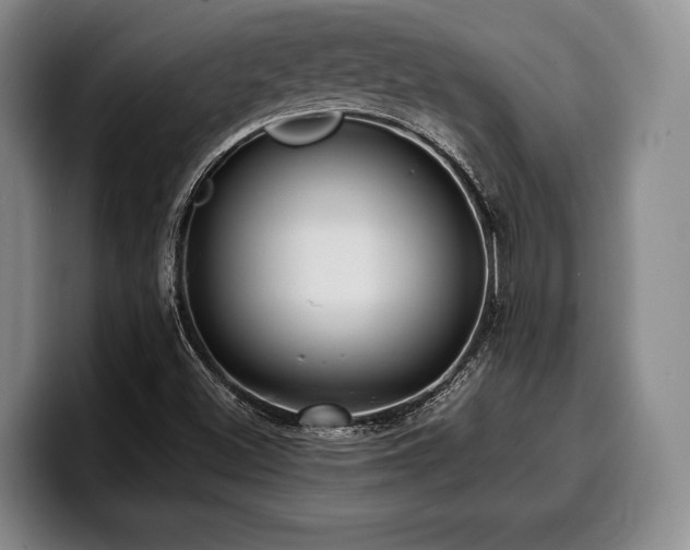 X0000100311500200806051445